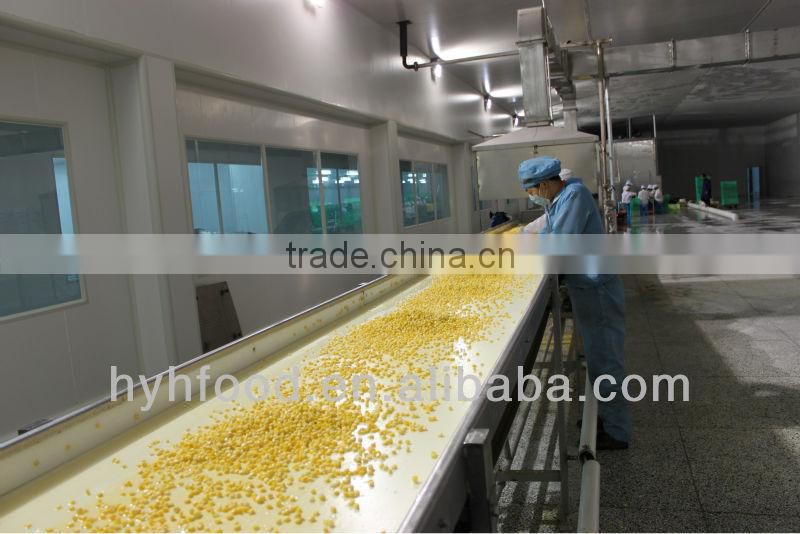 IQF frozen Super Sweet Corn Kernels 2016 good price