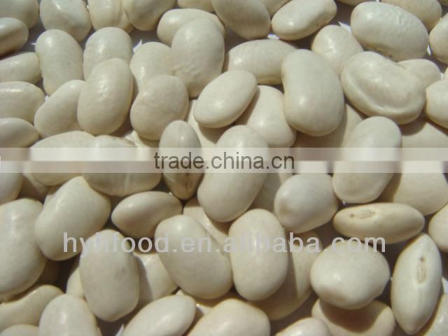 White Kidney Beans