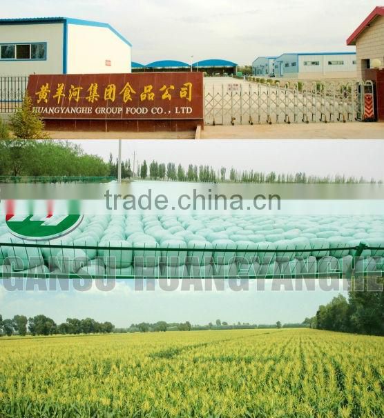 American IQF Sweet Corn Kernels