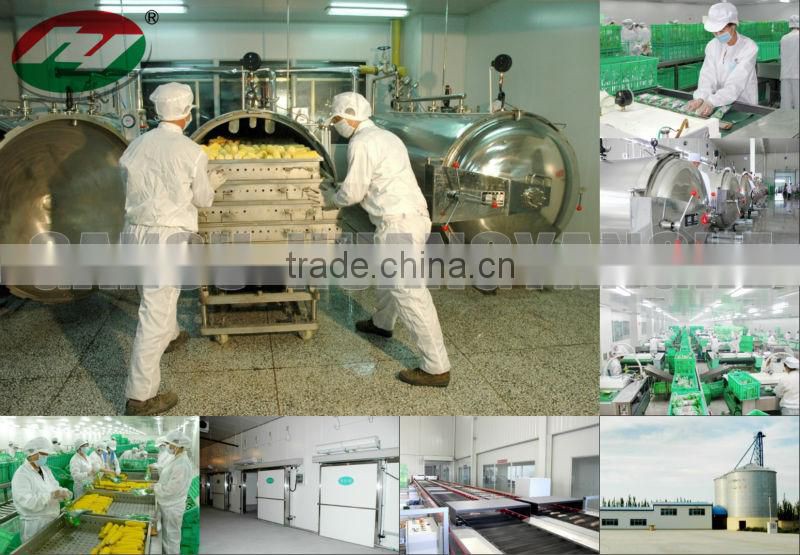 American IQF Sweet Corn Kernels