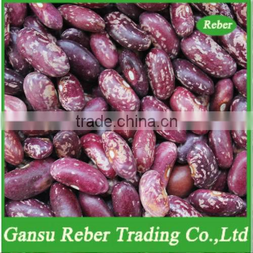 Purple Speckled Kidney Beans