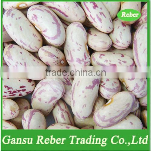 LSKB /Light Speckled Kidney Beans /Pinto Beans/Sugar Beans