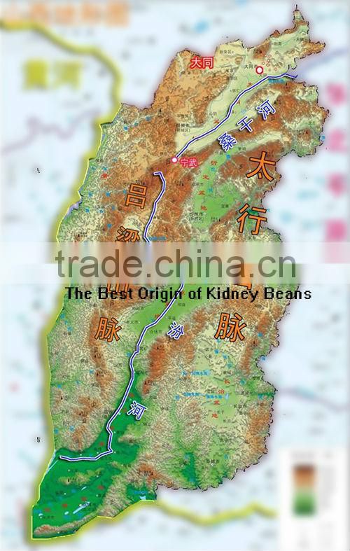 Japanese White Kidney Beans