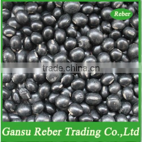 Small Black Kidney Beans with Green Kernel