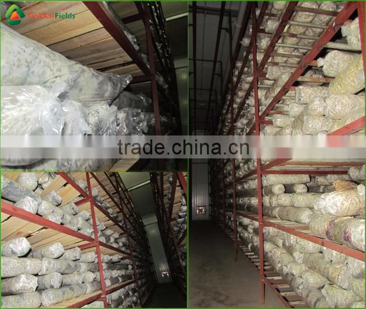 Dried Shiitake Mushrooms,Fresh Shiitake Mushrooms,Mushroom Seeds For Sale