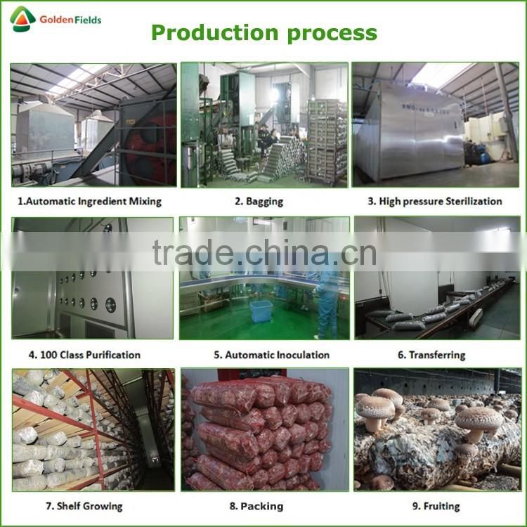 Dried Shiitake Mushrooms,Fresh Shiitake Mushrooms,Mushroom Seeds For Sale