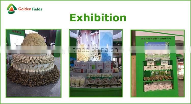 Dried Shiitake Mushrooms,Fresh Shiitake Mushrooms,Mushroom Seeds For Sale