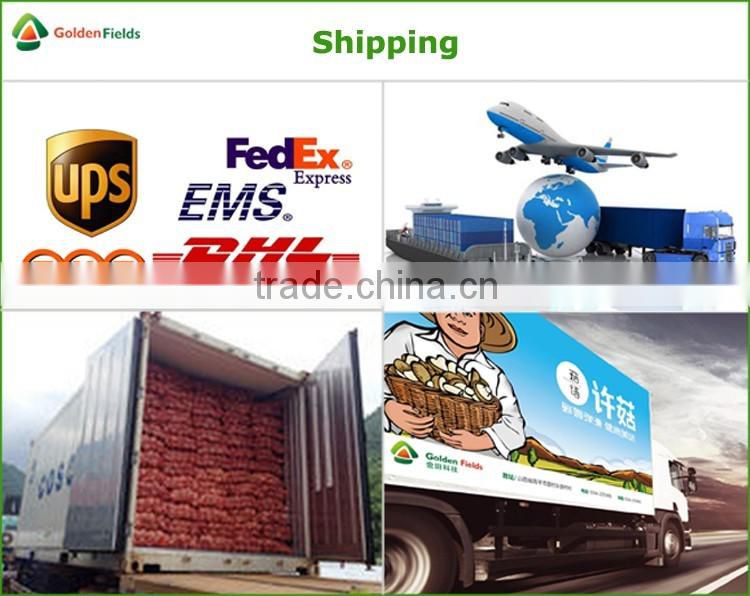 Dried Shiitake Mushrooms,Fresh Shiitake Mushrooms,Mushroom Seeds For Sale