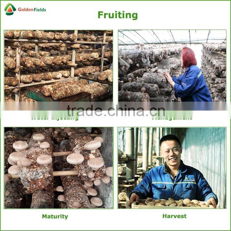 Dried Shiitake Mushrooms,Fresh Shiitake Mushrooms,Mushroom Seeds For Sale