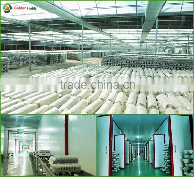 Dried Shiitake Mushrooms,Fresh Shiitake Mushrooms,Mushroom Seeds For Sale