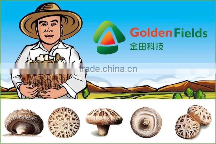Dried Shiitake Mushrooms,Fresh Shiitake Mushrooms,Mushroom Seeds For Sale