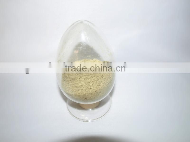 Biological Microbial Fertilizer