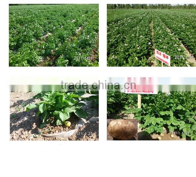 Microbial Fertilizer,2100 billion CFU/ml