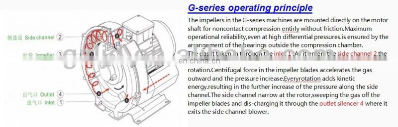regenerative blower for dental suction system