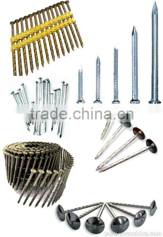 Professional Auto nail making machine