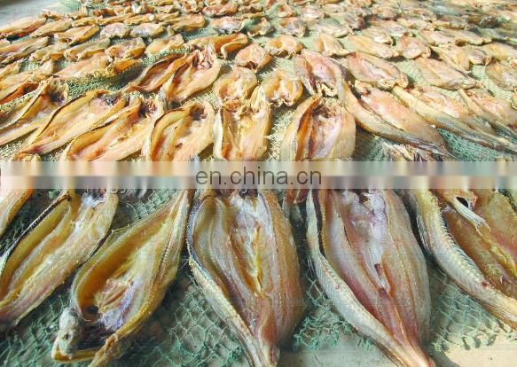 48 pcs Trays Good Quality fruit drying machine/ food dehydration machine/industrial food dehydrator