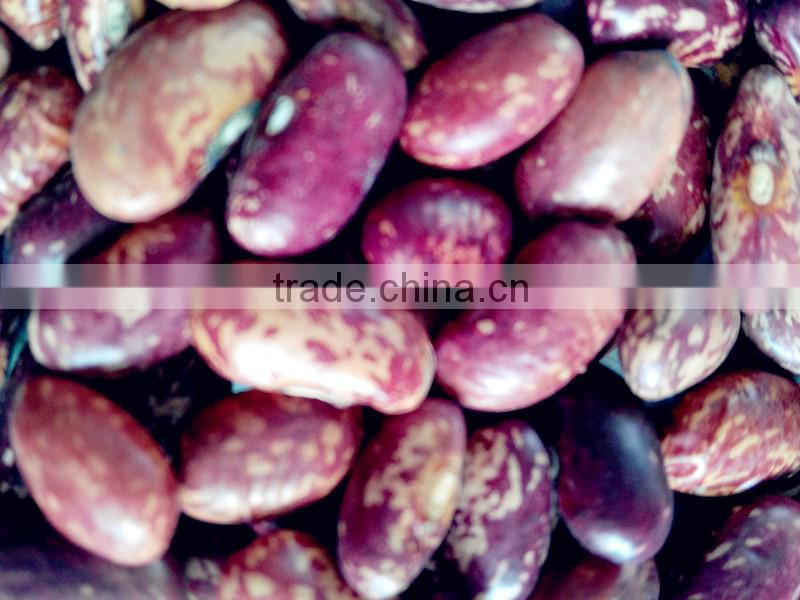Chinese purple speckled kidney beans
