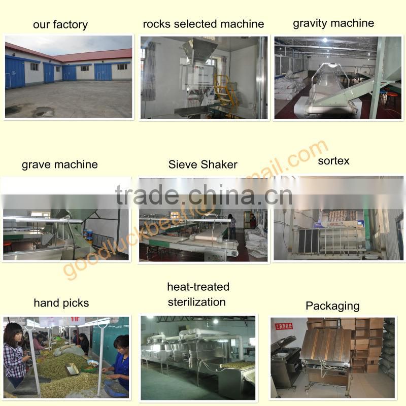 New Crop Bulk PSKB Beans