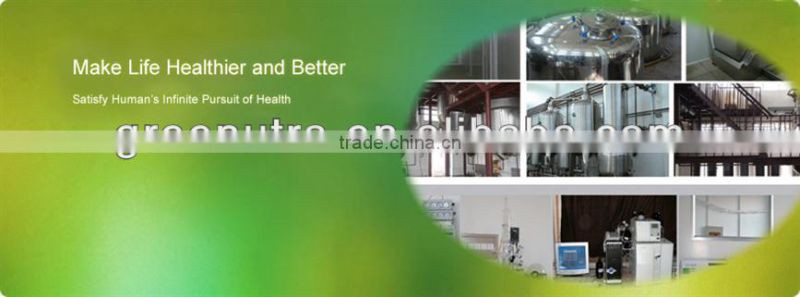 GMP manufacturer Chamomile Extract/Camomile Extract