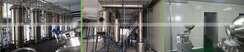 Rhodiola Rosea Root Extract Powder