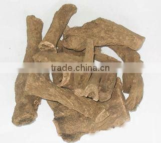 Costus Root Extract