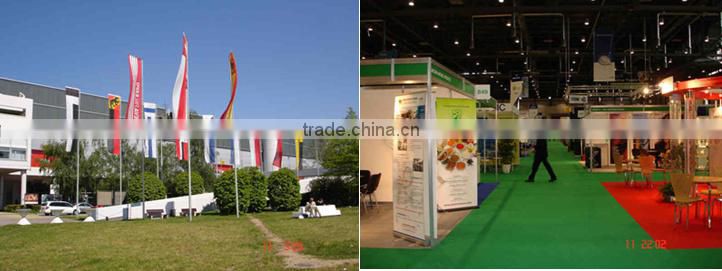 GMP manufacturer Chamomile Extract/Camomile Extract