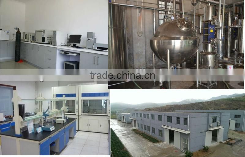 GMP manufacturer Chamomile Extract/Camomile Extract