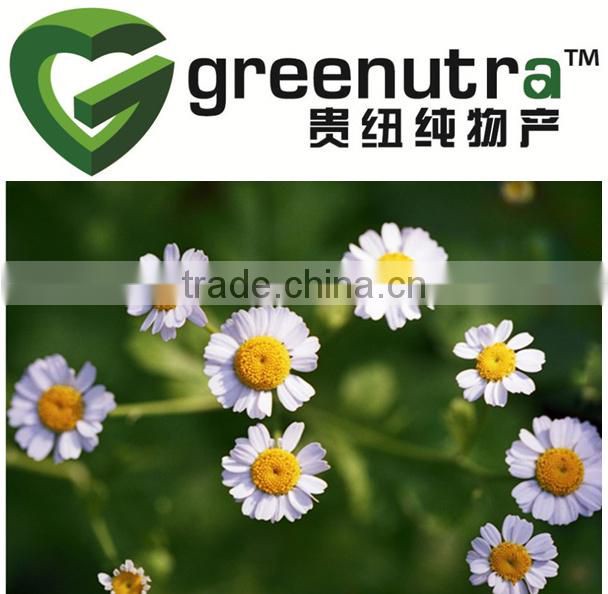 GMP manufacturer Chamomile Extract/Camomile Extract