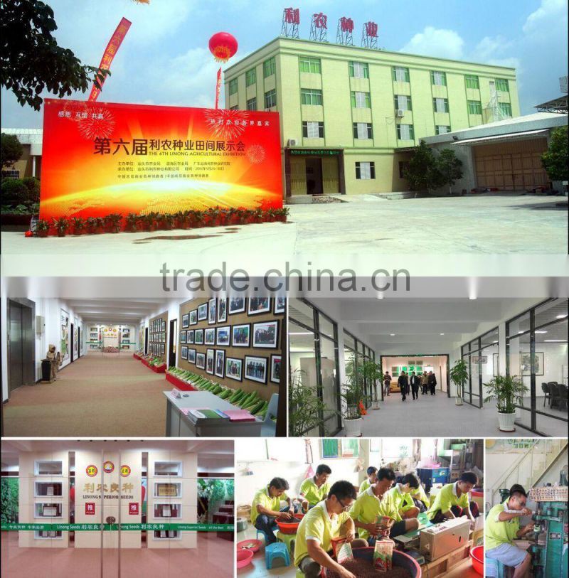 Agricultural product green vegetable seeds