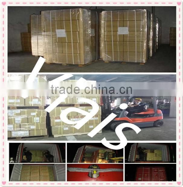 16L agriculture rechargeable sprayer, portable battery sprayer for sale