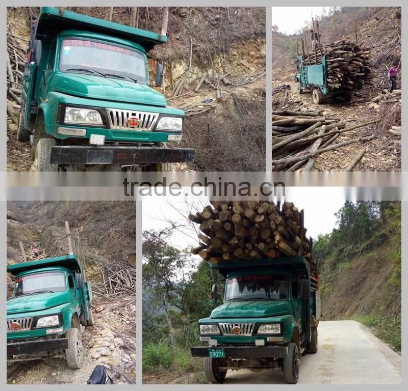 HL184 Widely used four cylinder 10T farm truck