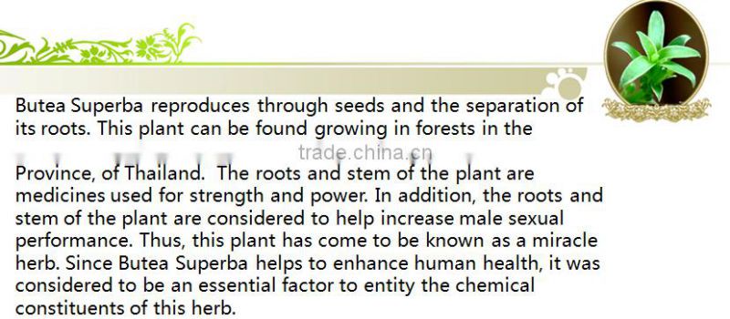 Butea Superba Slice for Male Herbal Supplements Type Tea