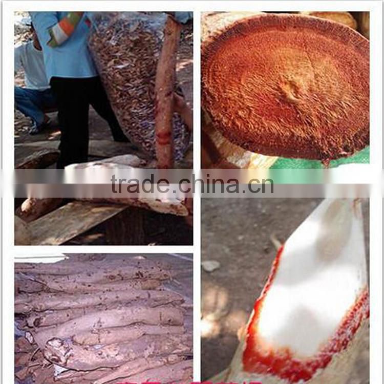 Natural Health Care and Tonifying Kidney Butea superba For old men