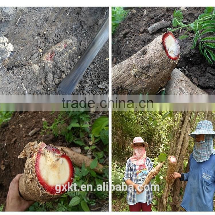 100% Pure Thailand Butea Superba Extract Capsules for Male Health Aphrodisiac