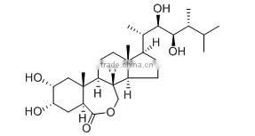 Brassinolide 90%TC 0.1% SP plant growth regulator