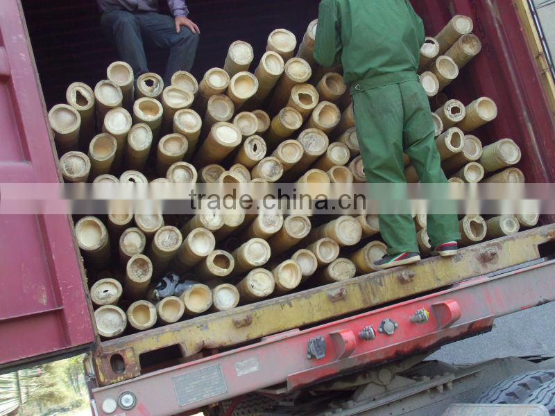 Plastic Bamboo Poles Wholesale