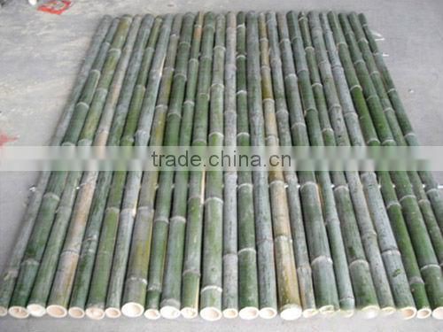 BP-12 Wholesale Construction Hollow Bamboo Poles
