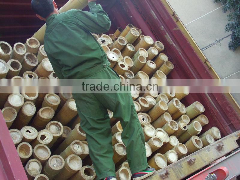 Plastic Bamboo Poles Wholesale