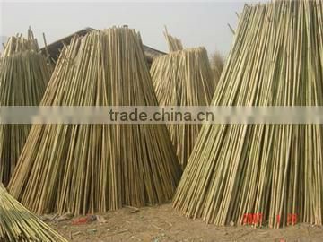 BP-12 Wholesale Construction Hollow Bamboo Poles