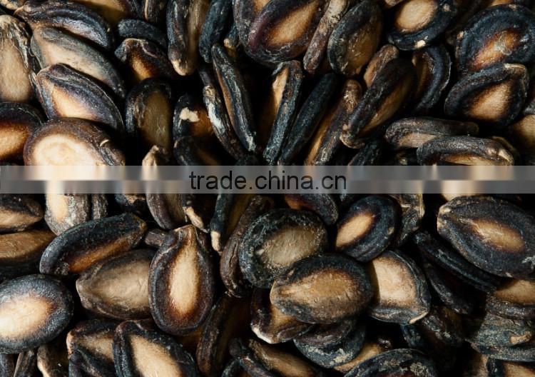 Chinese whole sale raw black seedless watermelon seed