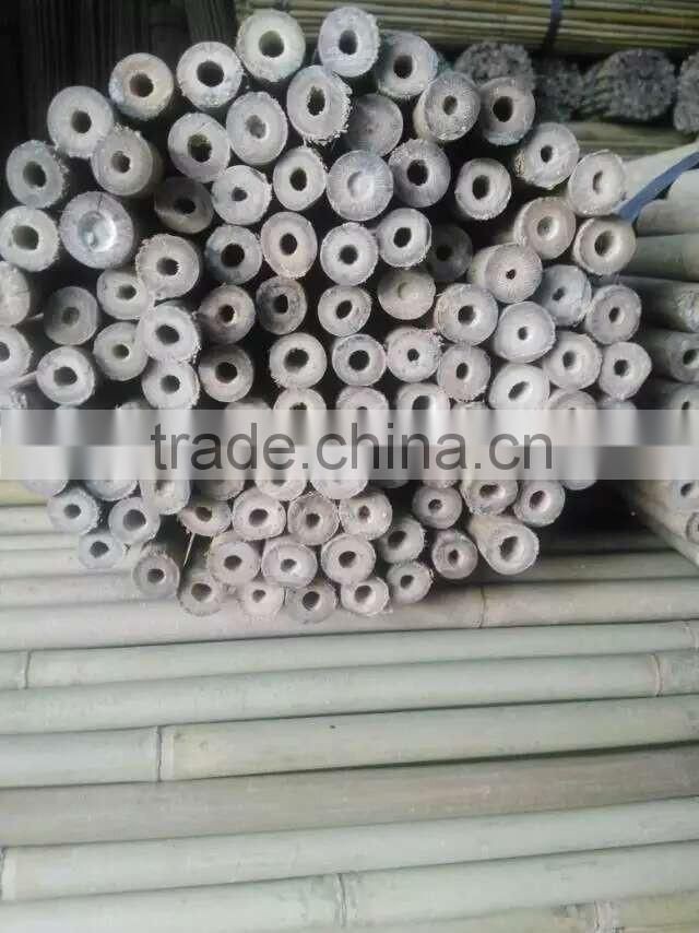 Cheap bamboo pole Bamboo cane YELLOW BAMBOO POLES