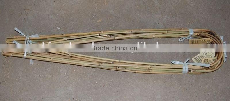 High quality bamboo trellie cheap bamboo bent U bent bamboo