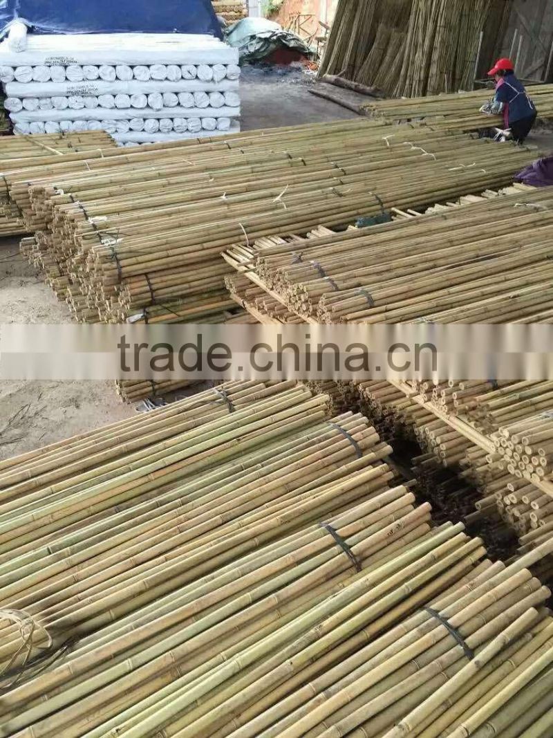 Straight bamboo cane Tonkin Bamboo Cane 16-18mm cheap bamboo cane