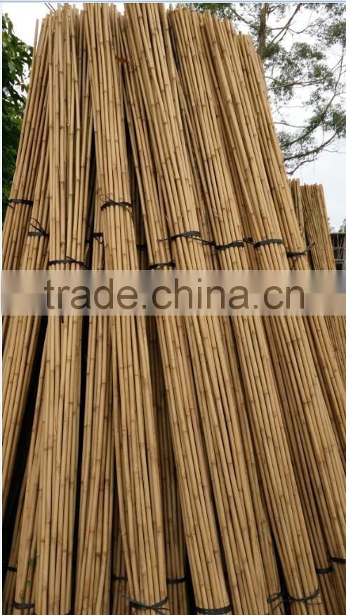 the orchard bamboo cane