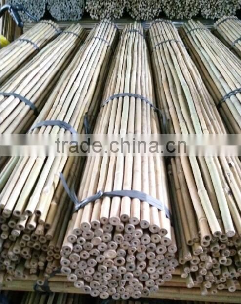 the orchard bamboo cane