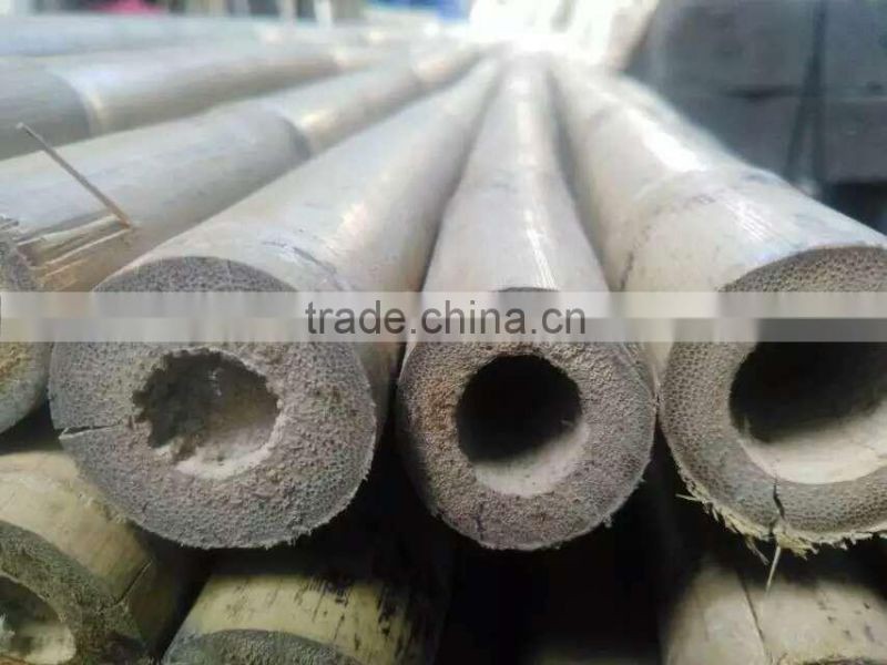 Cheap bamboo pole Bamboo cane YELLOW BAMBOO POLES