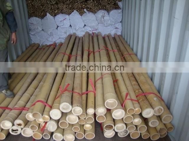 Straight moso bamboo poles for construction & building materials bamboo poles cheap bamboo cane productsraw bamboo poles