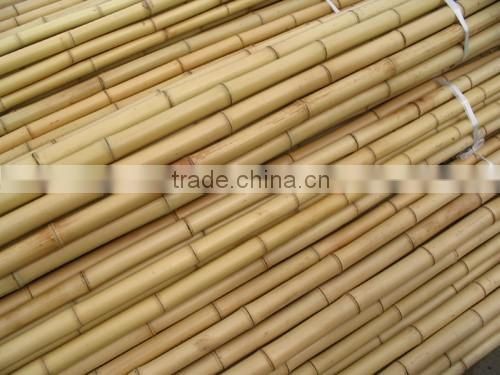 Straight bamboo cane Tonkin Bamboo Cane 16-18mm cheap bamboo cane