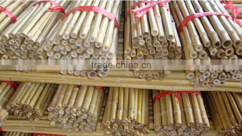Agriculture products/Bamboo Raw Materials / Bamboo pole