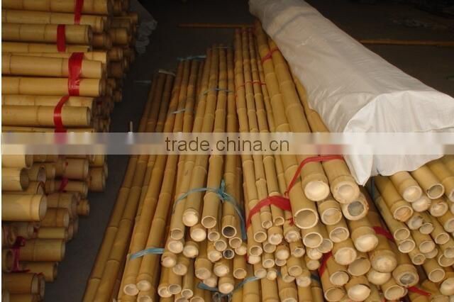 Straight moso bamboo poles for construction & building materials bamboo poles cheap bamboo cane productsraw bamboo poles